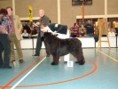 Otello is beste reu op de show in Waalwijk