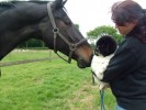 Asmar eerste kennismaking met een paard