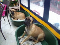 Holly en Funky