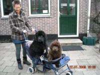 Arlene en Georgina  in de tweelingwagen!!