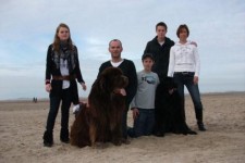 v.l.n.r.  Britt,Toine, Balou, Jorg, Hessel,Bjorn  en de mama Peetje.