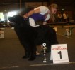 Karinah in Oss op de show.