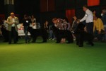 Suzy voor de 1ste keer op show!