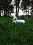 Diesel na het zwemmen even relaxen.  met dank v.d. Fam. v. Irsel
