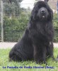 Suzy hier 4 weken zwanger .