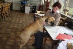 Lorrie met Toulouse