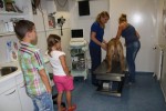 Echo maken, en ja!!! puppy's..