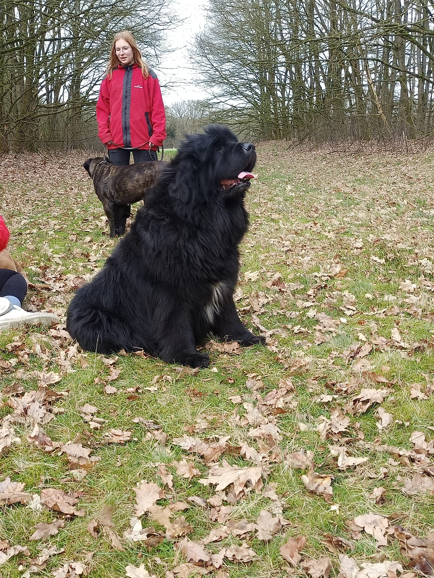 Samantha lekker mee aan de wandel...