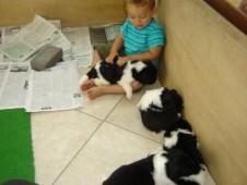 Bartje met de puppy\'s