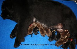 En hier het resultaat. paar uurtjes oud.