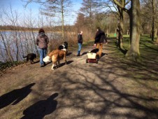 Lekker naar het bos