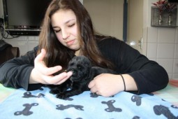 Floortje helpt oomee met de puppy's