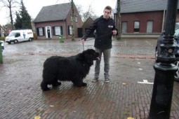 MoMo voor controle bij de dierenarts.